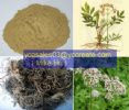 Valerian Root Extract 